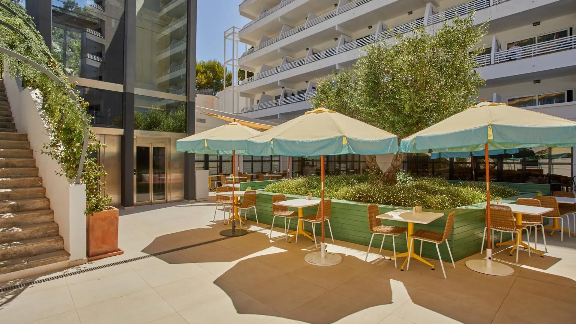 Dreams Calvia Mallorca (Adults Only) Magaluf
